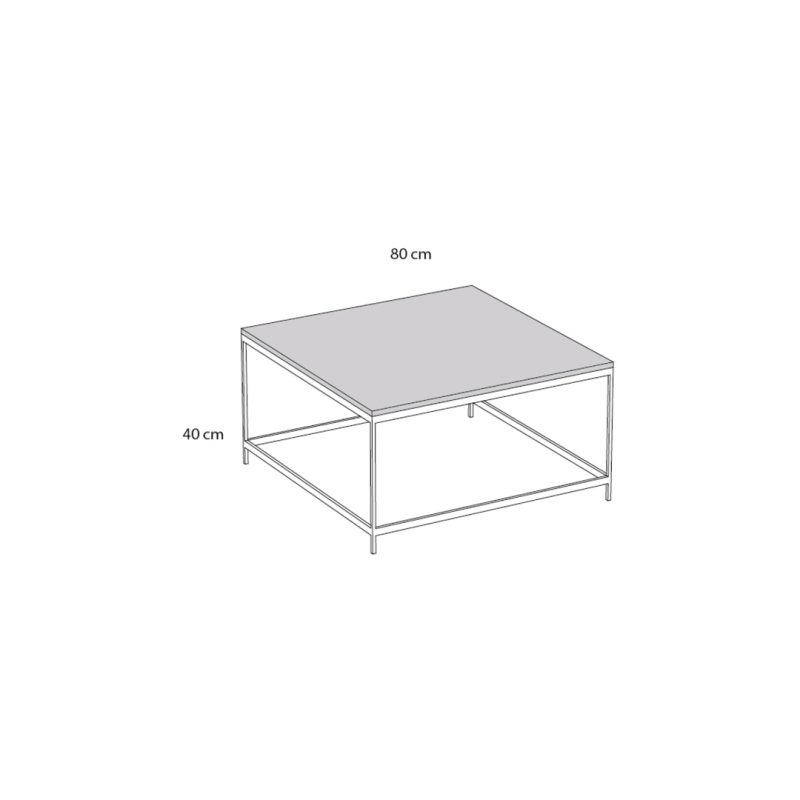 ELEGE – CUBEMC 023